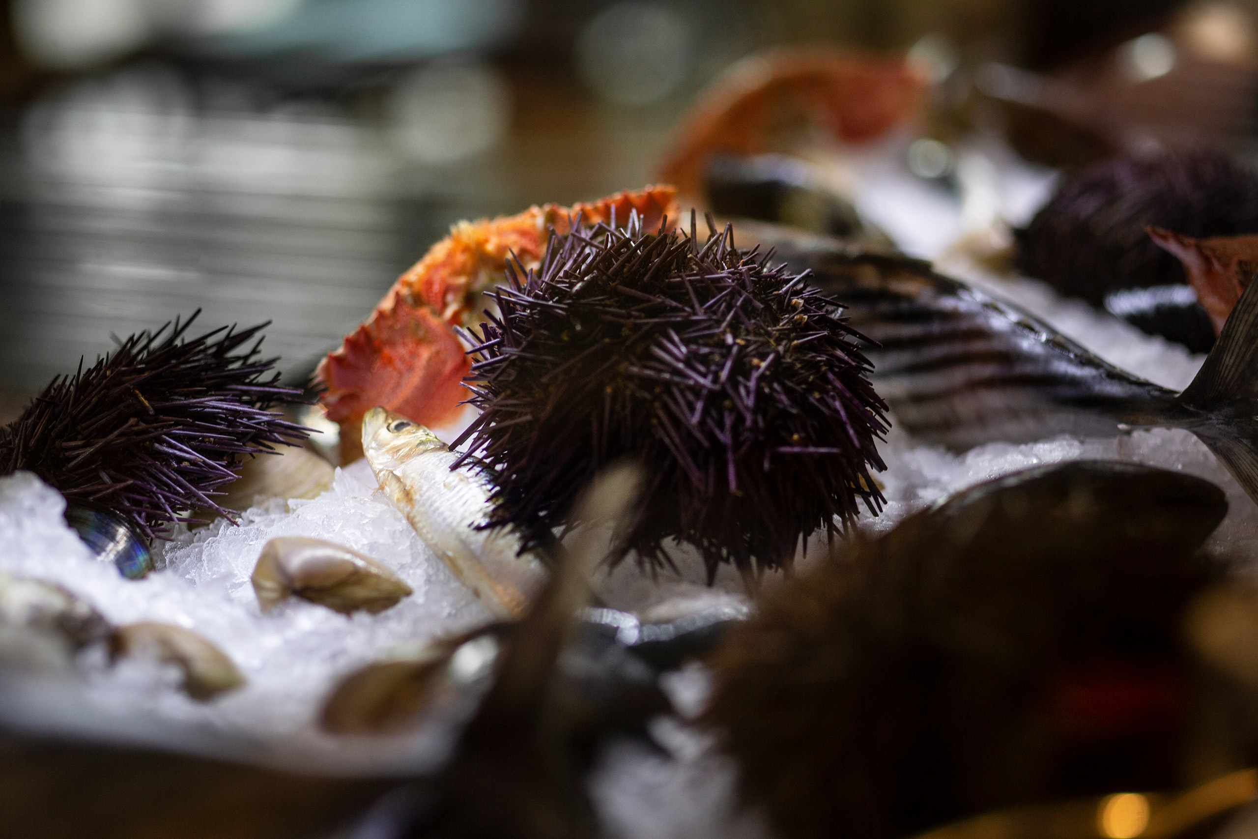 movida-restaurant-guy-lavoipierre-003