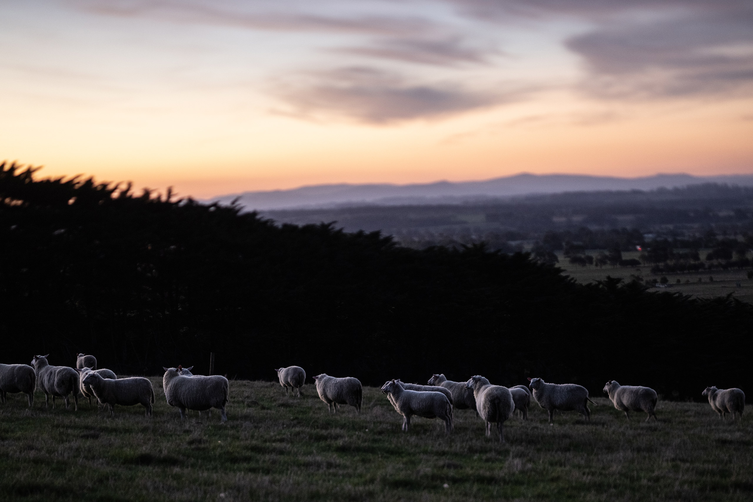 bill-downie-2021-003