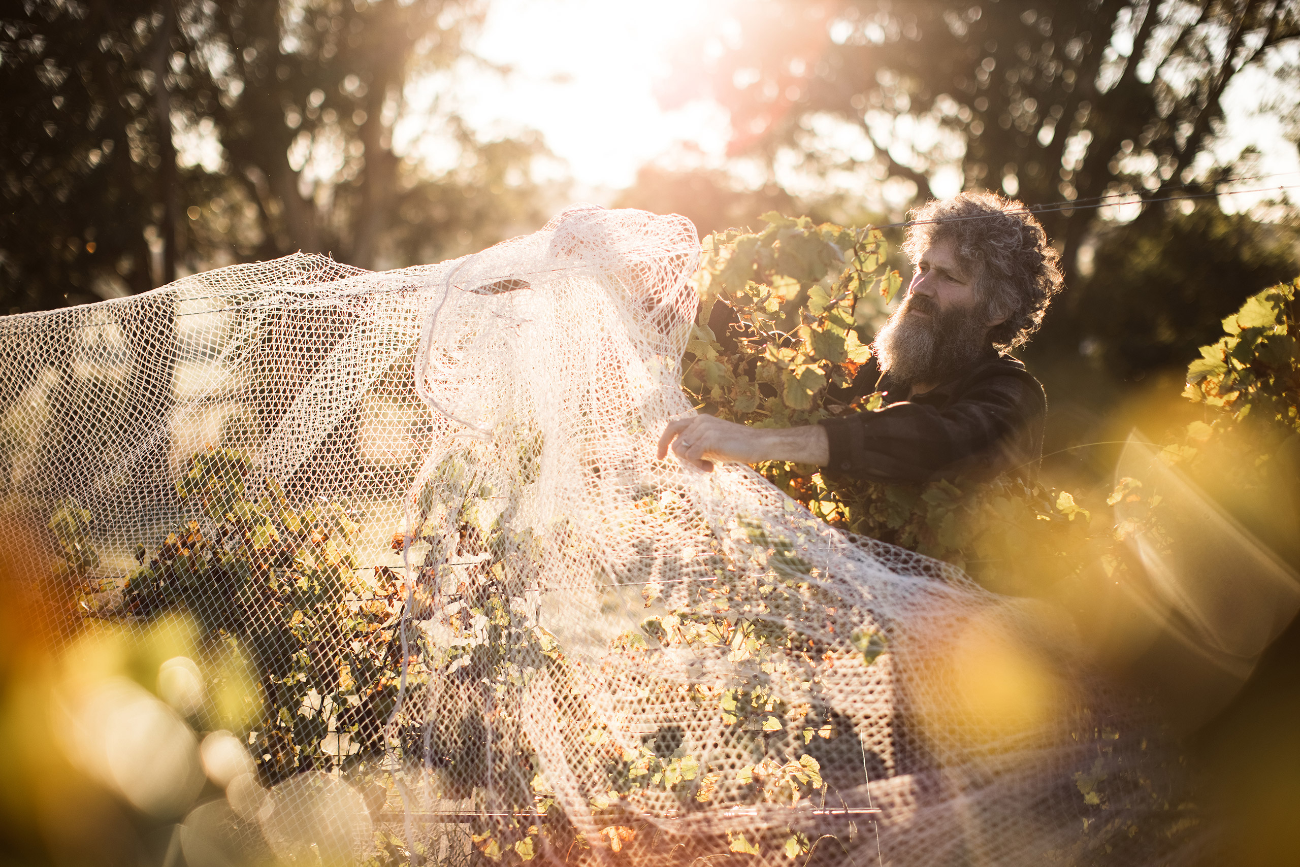 bill-downie-2021-005