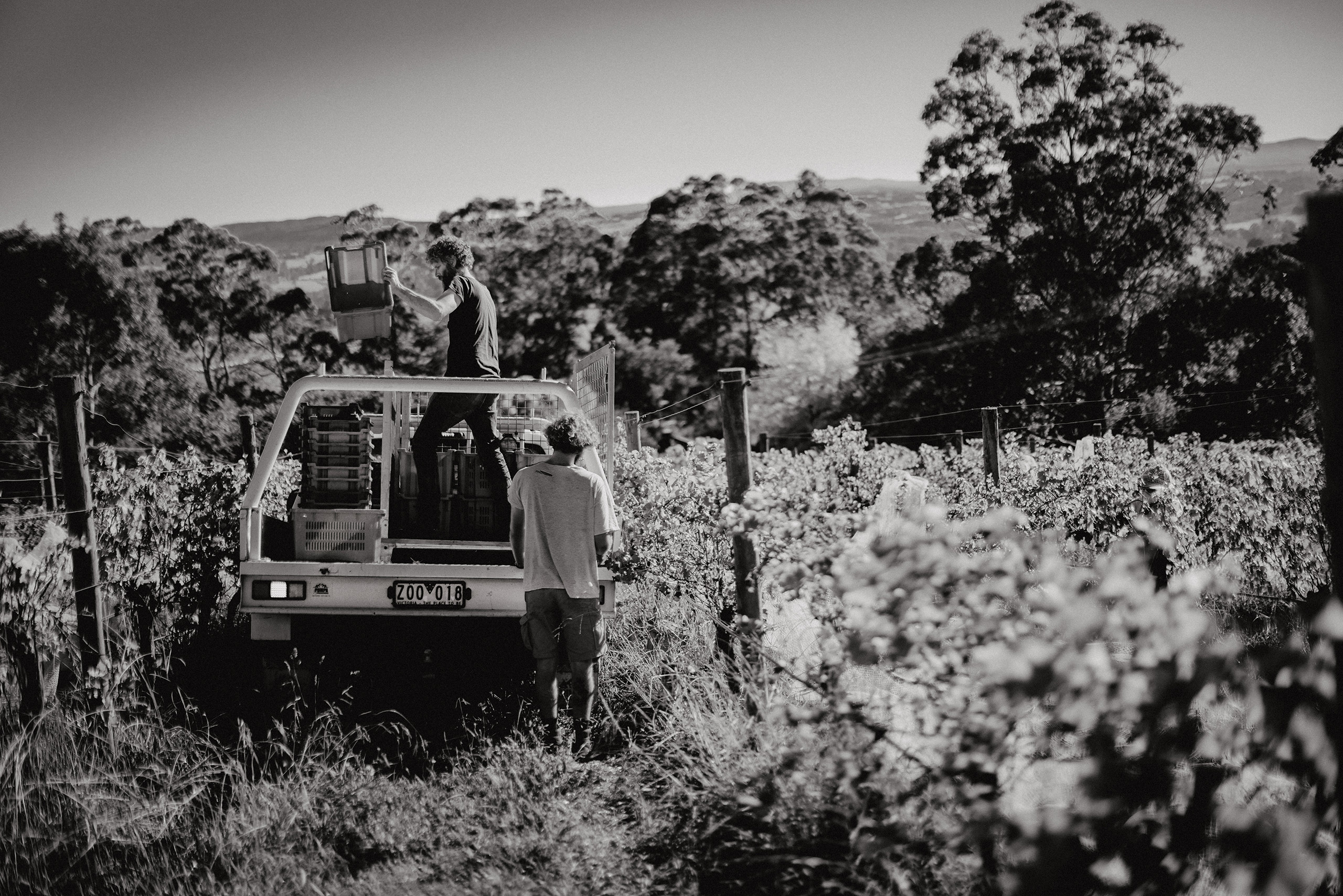 bill-downie-2021-012