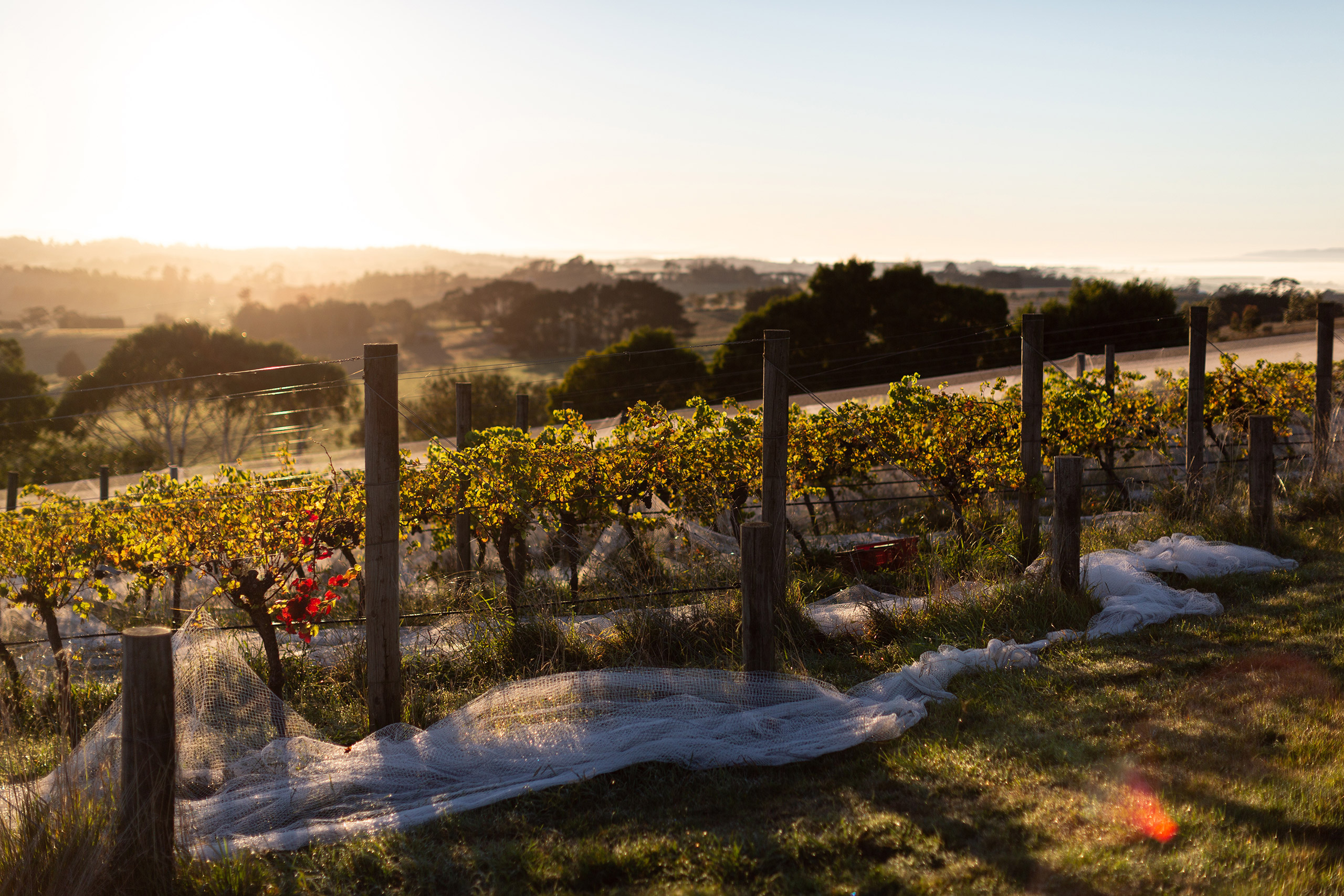 bill-downie-2021-020